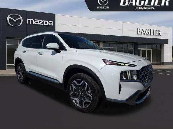 HYUNDAI SANTA FE 2022 KM8S3DA12NU041112 image